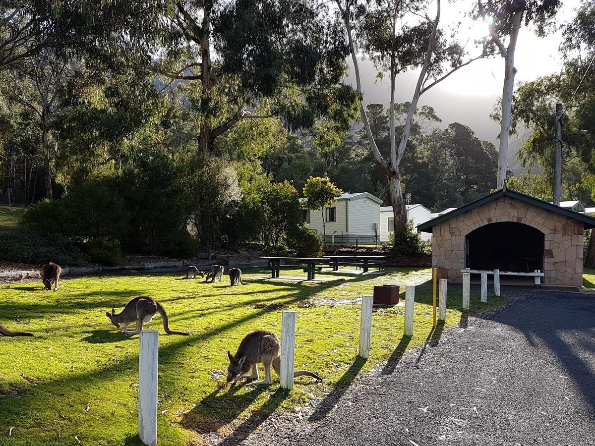 Breeze Holiday Parks - Halls Gap Eksteriør billede
